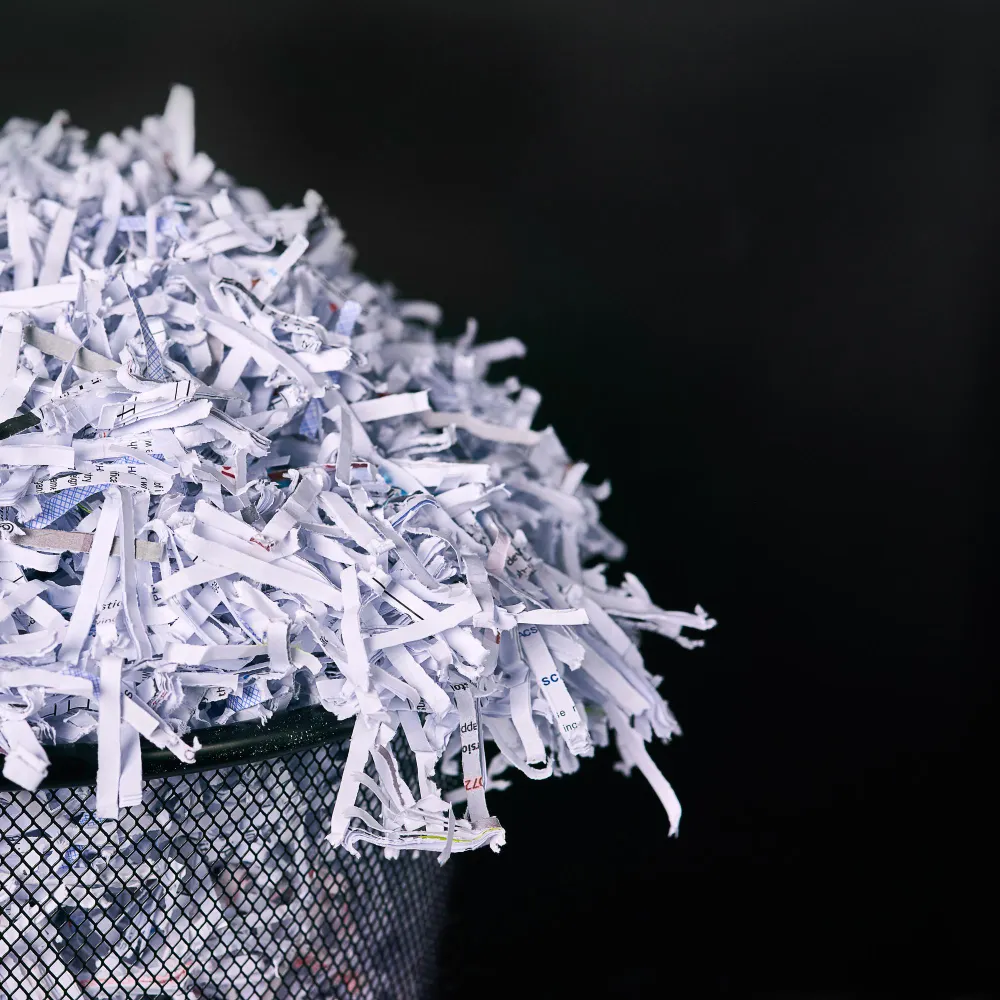 leaving-no-paper-trail-studio-shot-shredded-paper-kayman-vaults